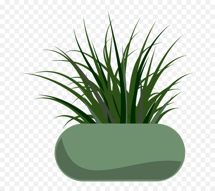 Potted Grass Clipart Panda - Free Clipart Images Grass Clip Art Png,Grass Clipart Transparent