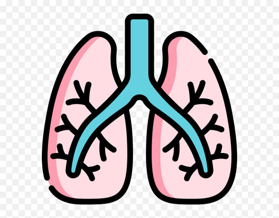 Vector Icons Designed - Lungs Icon Png,Paint 3d Icon