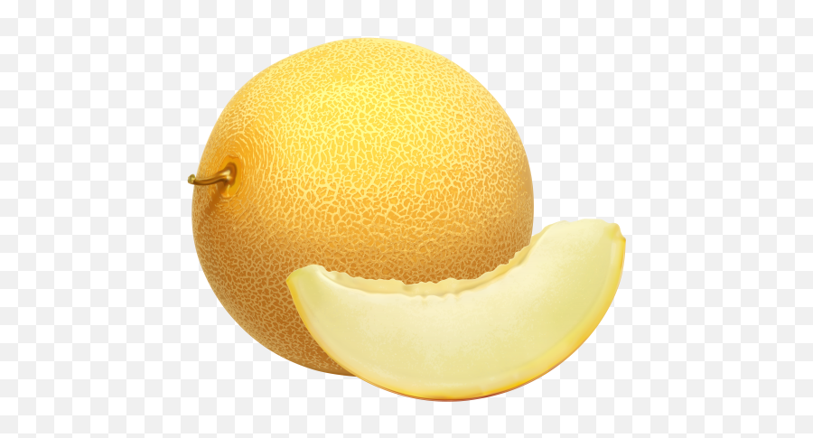 Pin - Melon Clipart Png,Cantaloupe Png