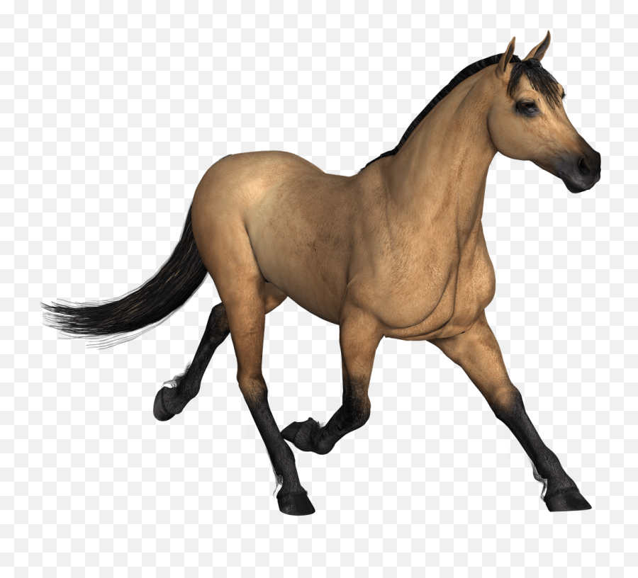 Brown Horse Running Transparent Png - Png,Horse Running Png