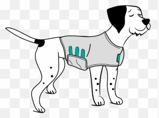 Boom Noise Sensitivity And Phobias - Fur Life Vet Martingale png