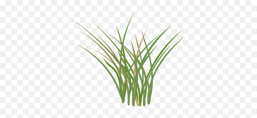 Cartoon Pictures Of Grass Free Download - Salt Marsh Grass Clipart Png,Grasses Png