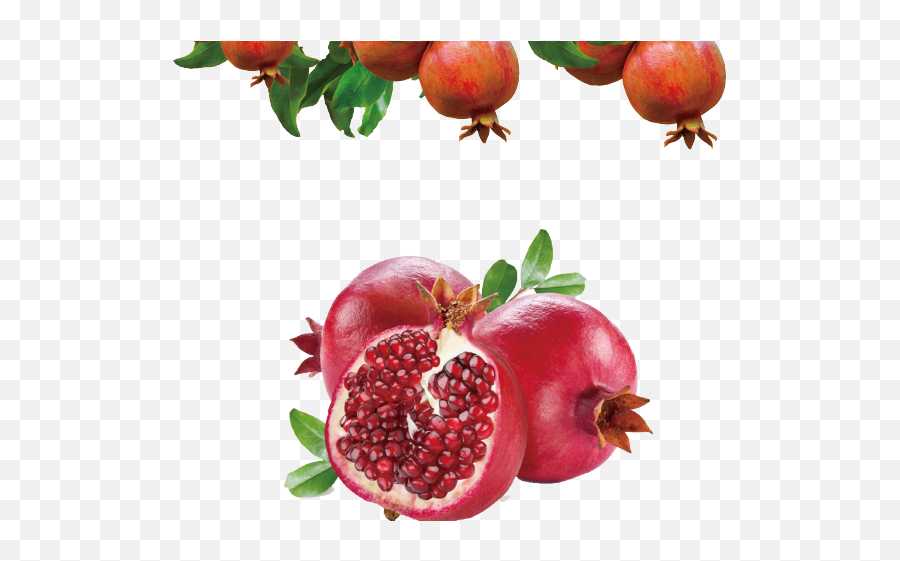Clipart Transparent Background Png Pomegranate