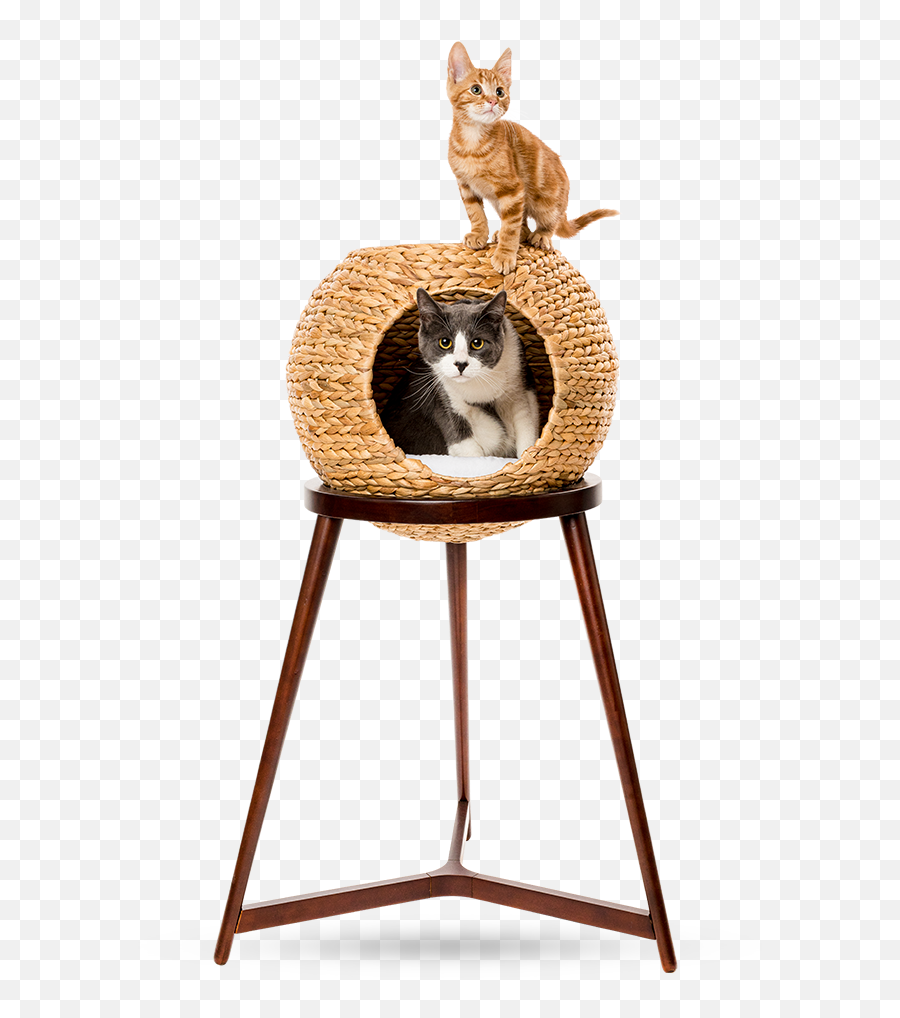 Cat Orb - Cat Orb Bed Tower Png,Child Climbing Cabinet Icon