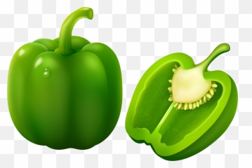 Download Free Pepper Vector Green Bell Png