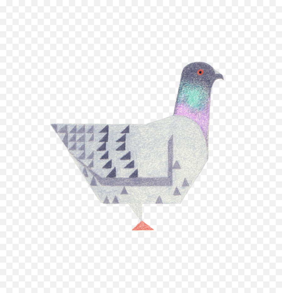 Bird Art U2014 American Cyborg Png Pigeons