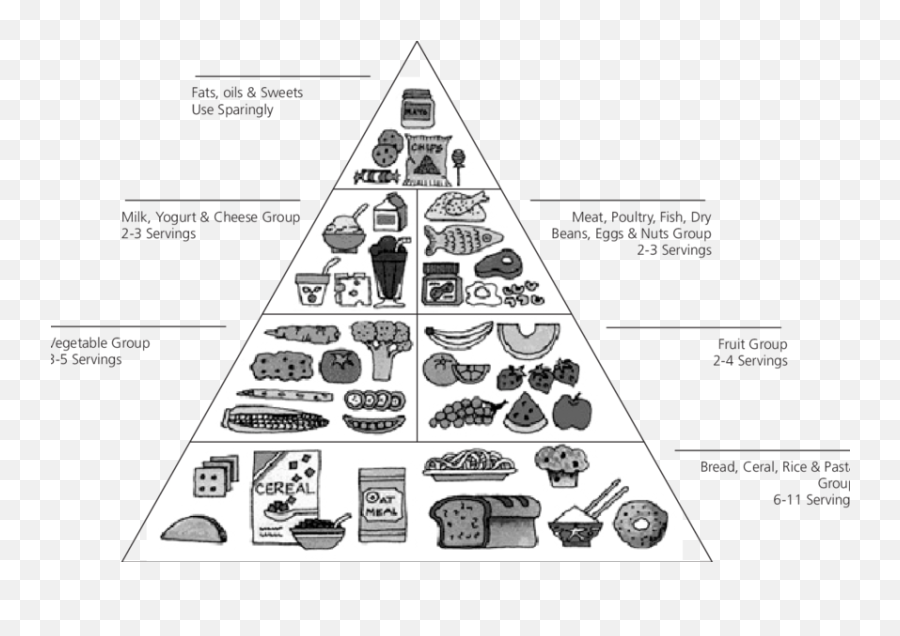 Food Guide Pyramid - Food Groups Grade 3 Png,Food Pyramid Png