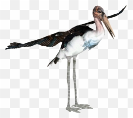Download Marabou Stork - Mariibou Stork Full Size Png Water Bird,Stork Png