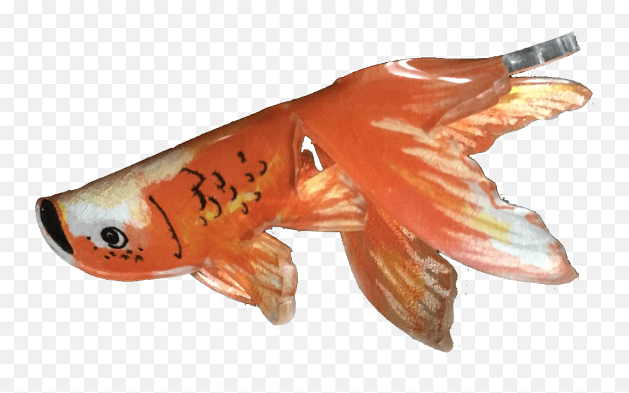 Deliberately Creative - Something New Shrinky Dink Fish Patterns Png,Goldfish Transparent Background