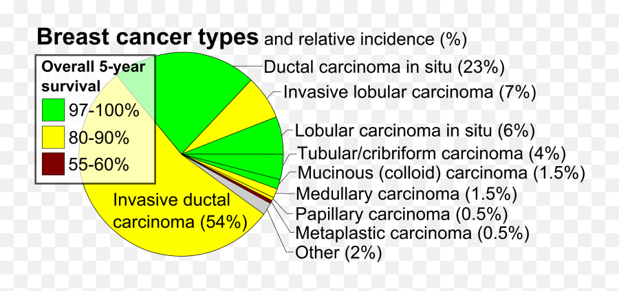 Pie Chart Of Incidence And Prognosis - Circle Png,Cancer Png