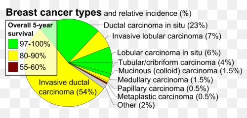 Pie Chart Of Incidence And Prognosis - Circle Png,Cancer Png