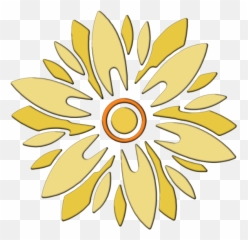 Golden Chrysanthemum Genu0027an Cell - Information African Daisy Png,Chrysanthemum Png