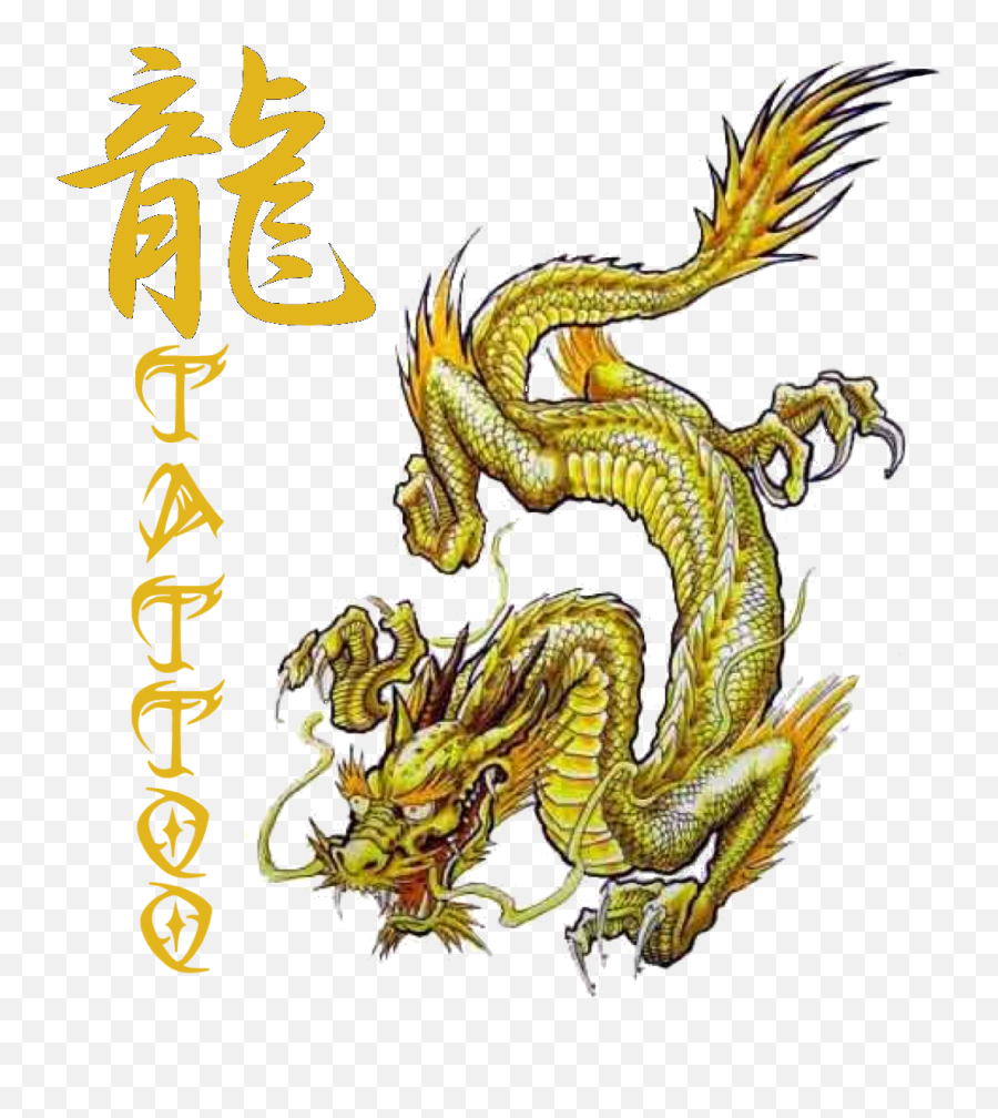 Dragon Tattoo Mad Robot Gallery Online Store Powered By - Golden Dragon Koi Drawing Png,Dragon Tattoo Transparent
