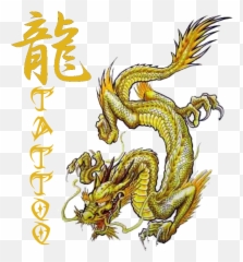 Dragon Tattoo Mad Robot Gallery Online Store Powered By - Golden Koi Drawing png