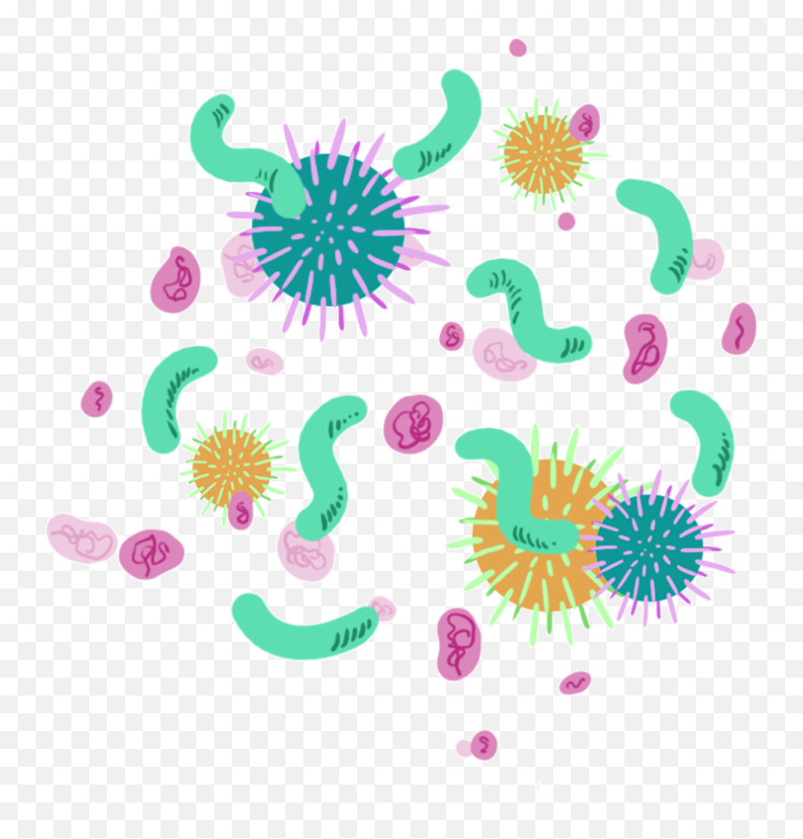 Bacteria Png - Food Poisoning Png,Bacteria Png
