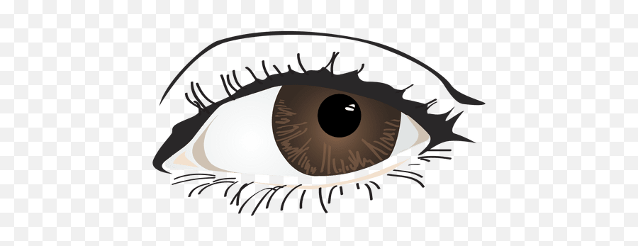 Brown Woman Eye - Vector Facial Features Png,Eye Png