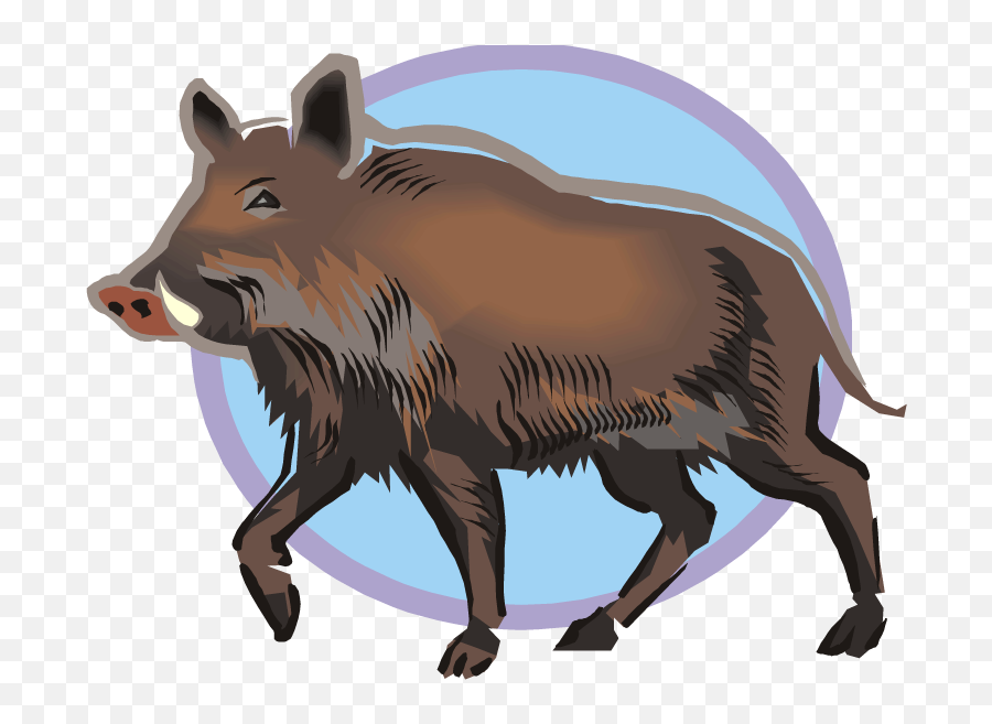 Hog Clipart Common Animal - Wild Boar Pig Clipart Png,Warthog Png