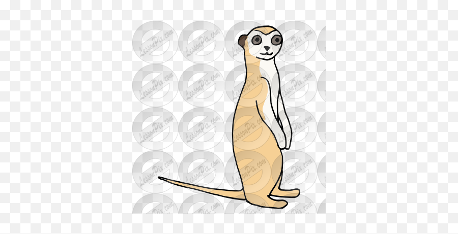 Lessonpix Mobile - Meerkat Png,Meerkat Png