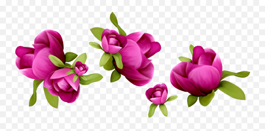Clip Art Portable Network Graphics Transparency Flower - Transparent Flower Vector Background Png,Flowers Vector Png