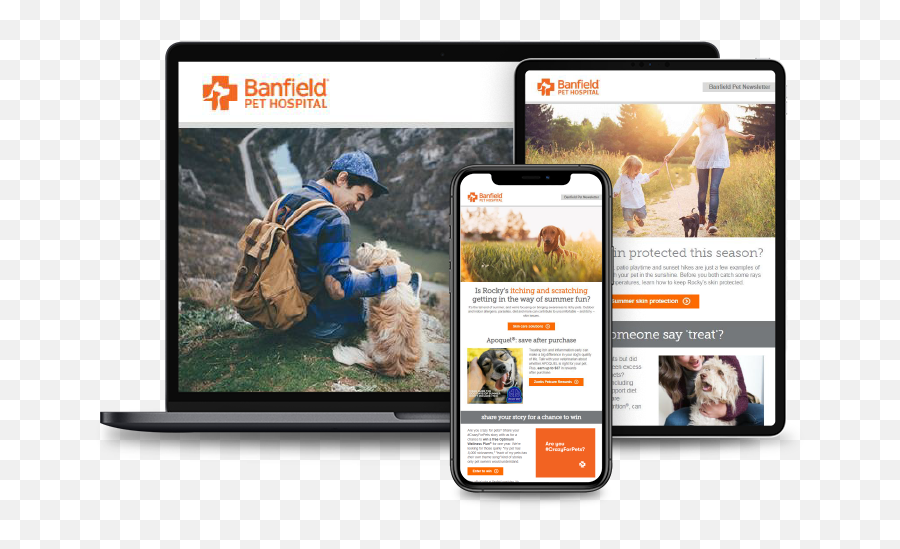 Veterinarians Banfield Pet Hospital Provides Superior - Netbook Png,Petsmart Logo Png Veterinarians Banfield Pet Hospital Provides Superior - Netbook Png,Petsmart Logo Png