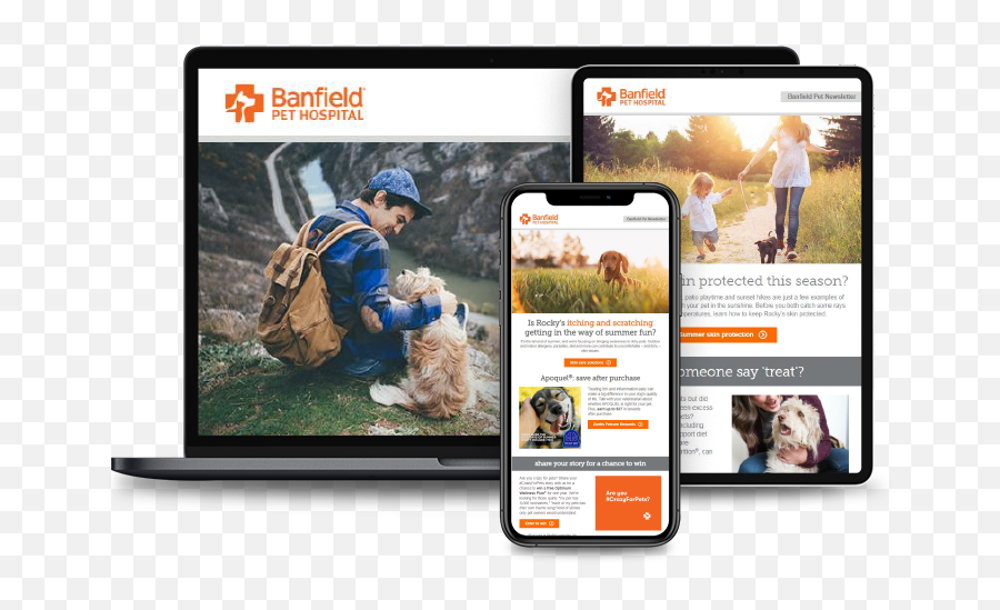 Veterinarians Banfield Pet Hospital Provides Superior - Netbook Png,Petsmart Logo Png