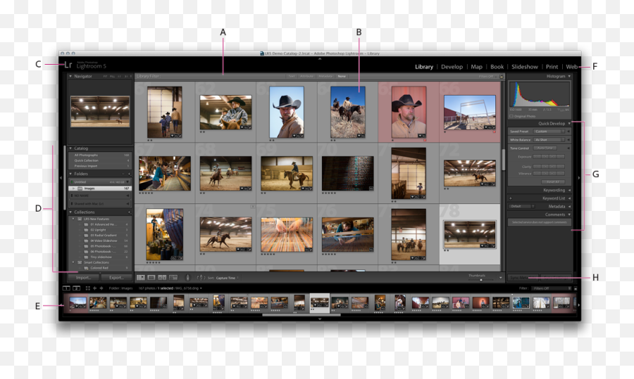 Workspace Basics In Lightroom Classic - Vertical Png,Toolbars Icon