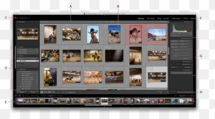 Workspace Basics In Lightroom Classic - Vertical png