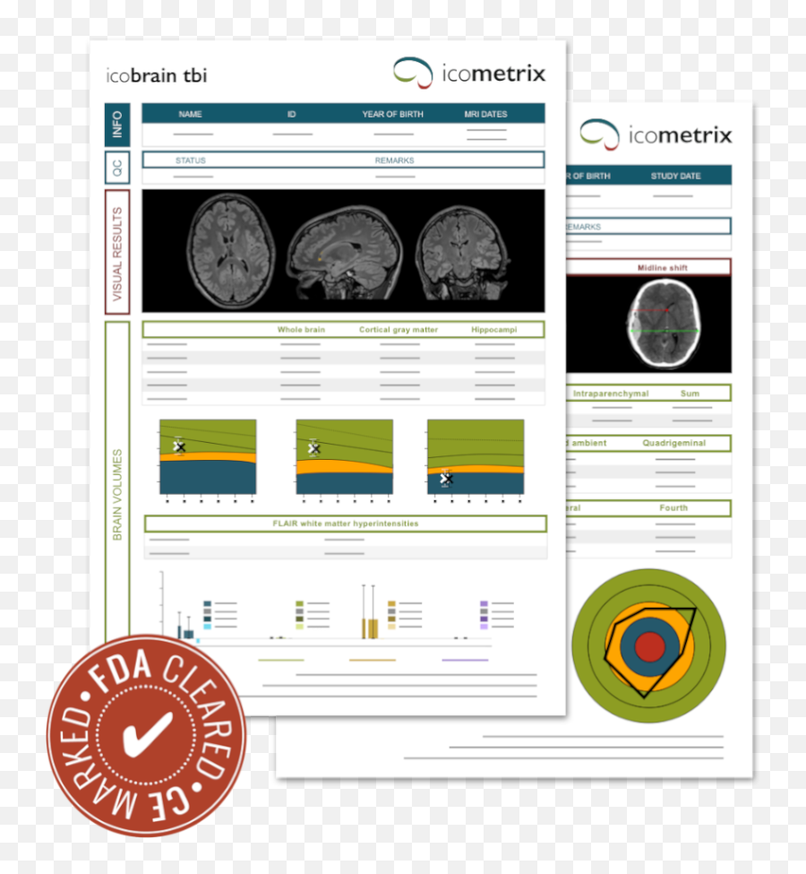 Icobrain Product Overview Icometrix - Language Png,Biomarker Icon