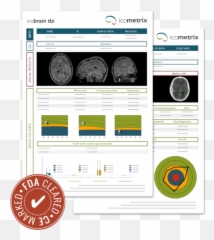 Icobrain Product Overview Icometrix - Language png