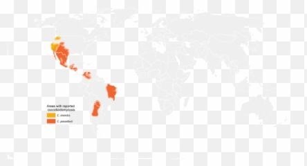 Valley Fever Maps Fungal Diseases Cdc - Burgess Shale Type Faunas png