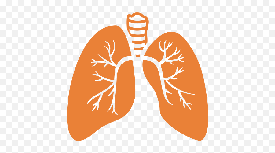 Moolchand Best Pulmonology Hospital Top Pulmonologist - Pulmonary Medicine Logo Png,Po Agra Icon