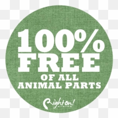 Vegan Guitar Straps And Bass - Solid png