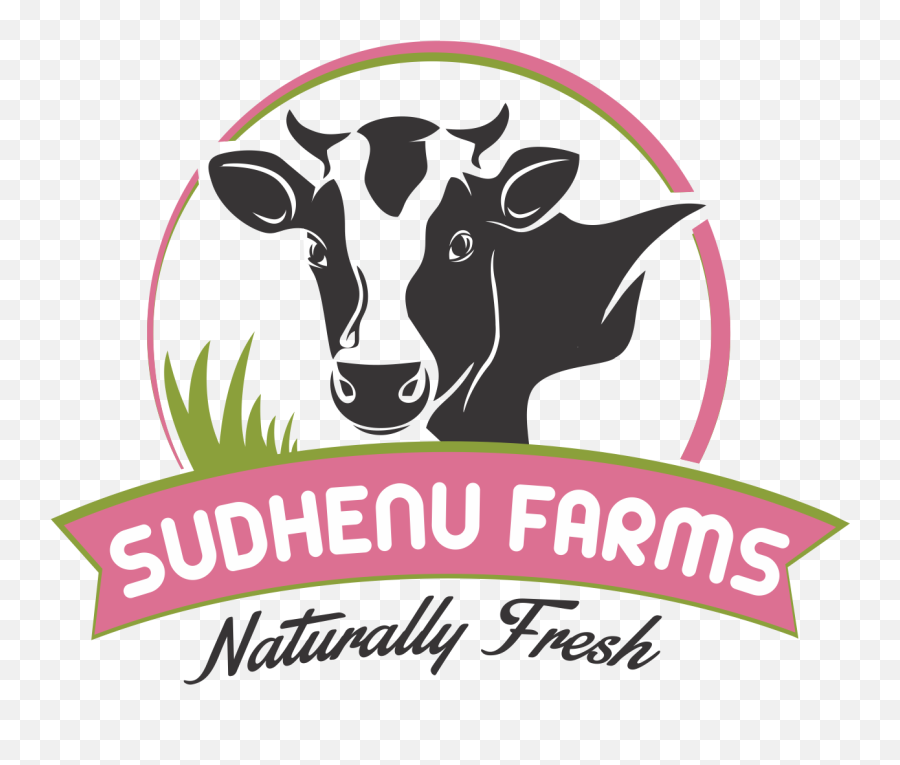 Dairy Products Manufacturers In Pune - Dairy Milk Cow Logo Png,Cow Logo