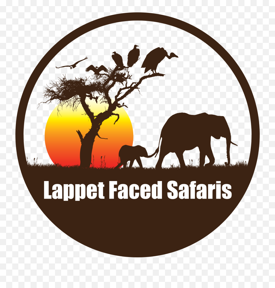Silhouette Png - Lappet Faced Safaris,Elephant Silhouette Png