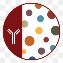 Cytometry And Antibody Technology U2013 Osrf Core Facility - Dot png