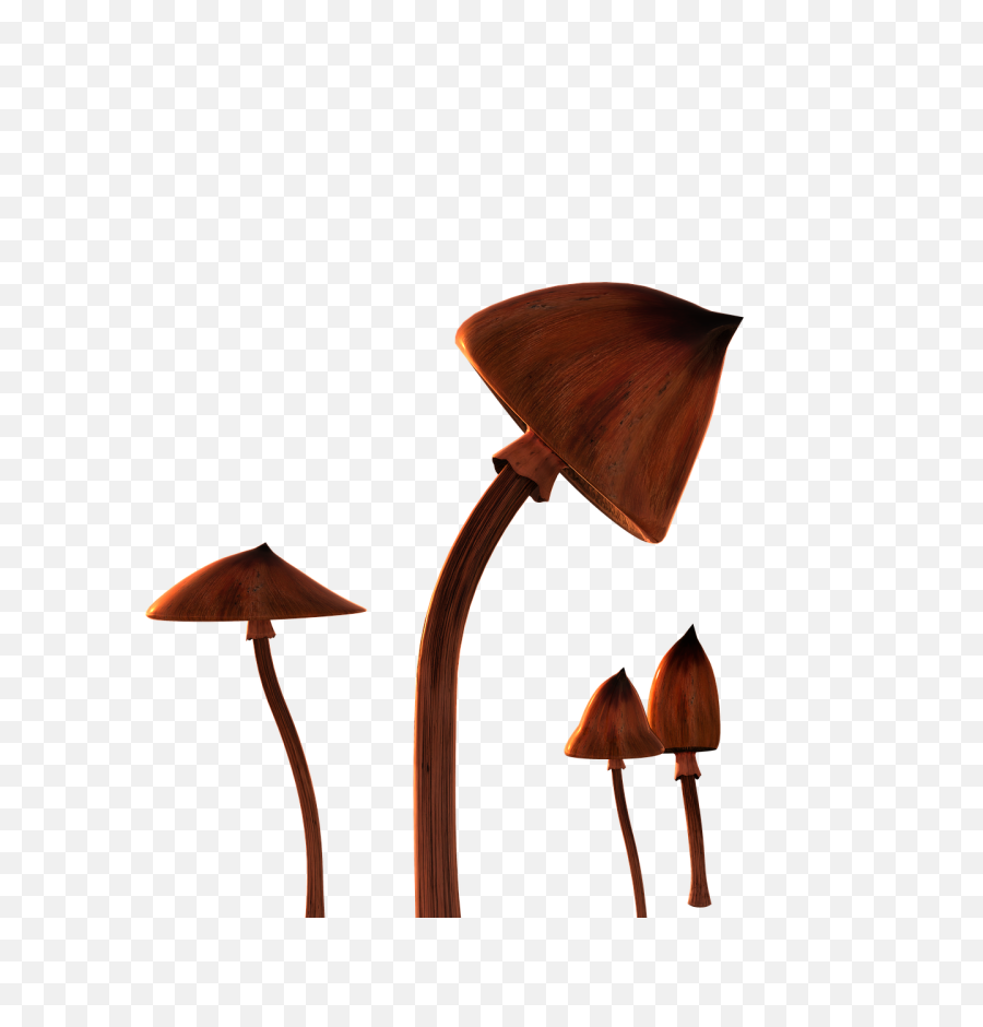 Shrooms Mushrooms Isolated - Free Image On Pixabay Mushroom Png,Lsd Png
