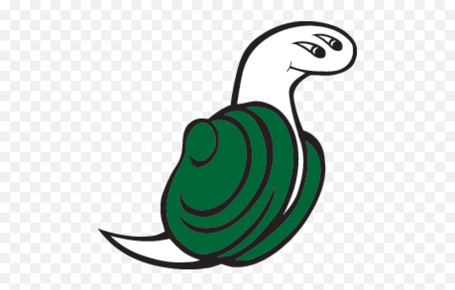 Cropped - Evergreenstategeoduckspng The Evergreen Mind Geoduck Evergreen State College,Evergreen Png