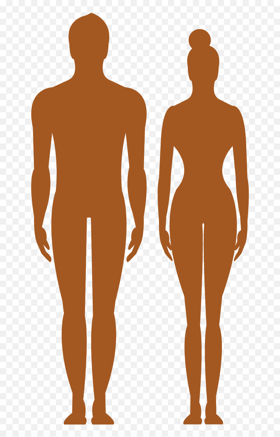 Library Of Vector Human Image Png Files - Silhouette Human Body Png,Vector Images Png