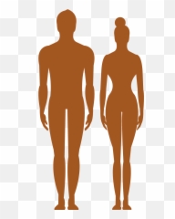 Library Of Vector Human Image Png Files - Silhouette Human Body Png