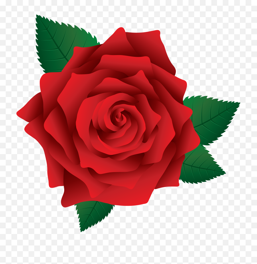 Download Hd Red Rose Png Image Clipart - Rose Clip Art Png,Red Rose Png