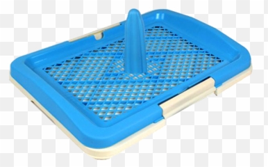 Welcome - Basket Png,Pee Png