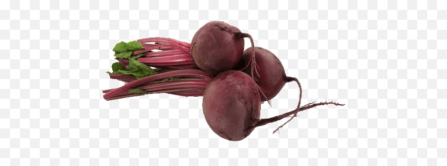 54 Beet Png Images Are Free To Download - Semillas Betabel,Beet Png
