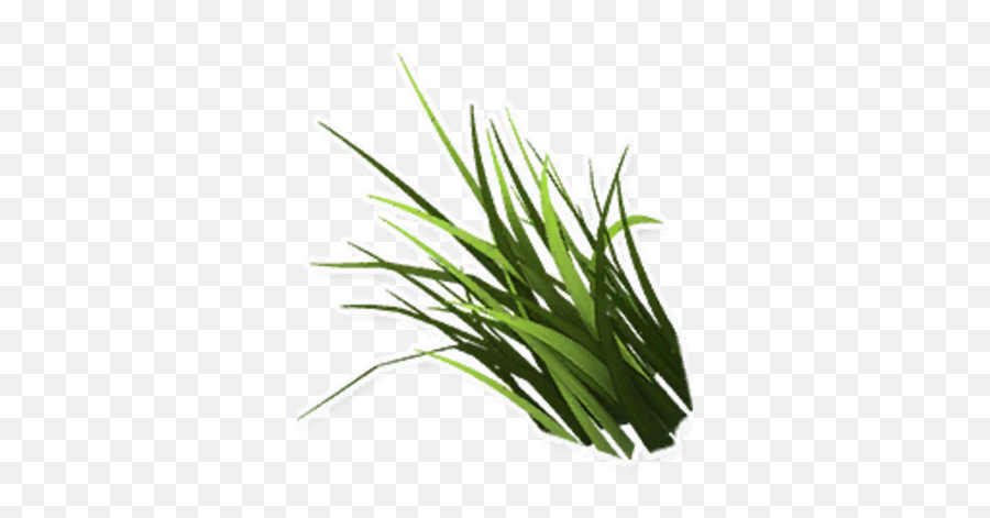 Tall Grass - Sweet Grass Png,Tall Grass Png