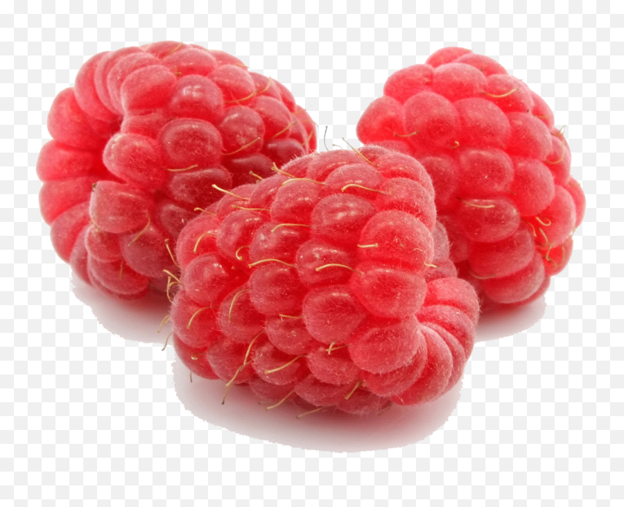 Png File For Designing Purpose - Raspberry Png,Raspberries Png
