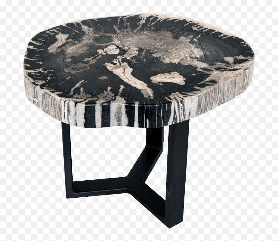 Petrified Wood Side Tables Unik Living - Unique Tables Coffee Table Png,Side Table Png