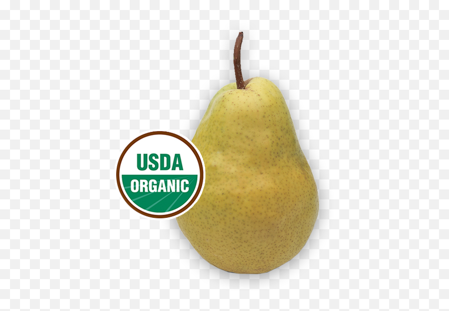 Pears - Wfp Asian Pear Png,Pears Png