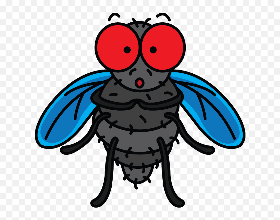 720 X - Drawing A Fly Transparent Cartoon Jingfm Png,Fly Png