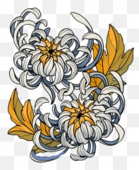 Japanese Chrysanthemum Flower Vector Transparent Cartoon - Japanese Chrysanthemum Drawing Png,Chrysanthemum Png