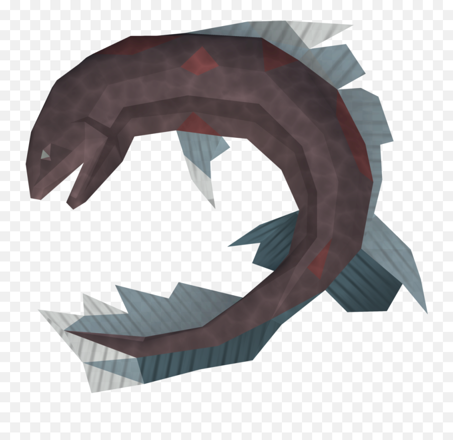 Salve Eel - Fish Png,Eel Png