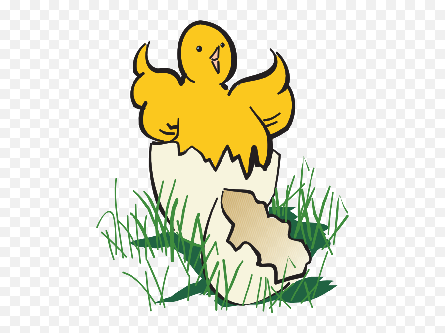 Baby Chick Hatching Clip Art - Hatch Clipart Full Size Png Hatch Clipart,Baby Chick Png